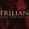 Spectrasonics Trilian v1.6.1c [WiN] (Premium)