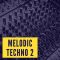 Ushuaia Music Melodic Techno 2 [WAV, MiDi] (Premium)