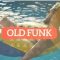 Videohive Old Funk Promo 34507345