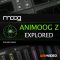 Ask Video Animoog Z 101 Animoog Z Explored [TUTORiAL] (Premium)