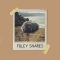 Clark Samples Foley Snares [WAV] (Premium)