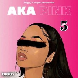 Diggy Loops Aka Pink 5 [WAV] (Premium)