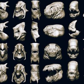 JAWS 2 – Another 33 Monster Mouths & Skulls IMM Brush (Premium)
