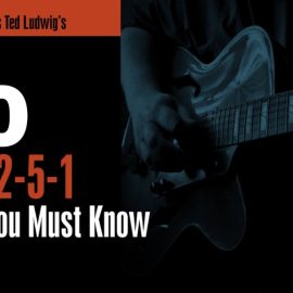 Truefire Ted Ludwig’s 30 Jazz 2-5-1 Licks You MUST Know [TUTORiAL] (Premium)