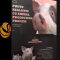 WINGFOX – PHOTO-REALISTIC CG ANIMAL PRODUCTION PROCESS BY YINGKANG LUO (Premium)