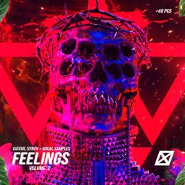 nofuk FEELINGS Vol.2 guitar + vocal + synths library WAVE [WAV] (Premium)