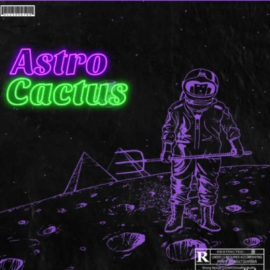 Major Loops Astro Cactus [WAV] (premium)
