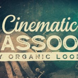 Organic Loops Cinematic Bassoon [WAV, REX] (Premium)
