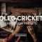 Oleg Cricket Vintage Lightroom Presets (Premium)