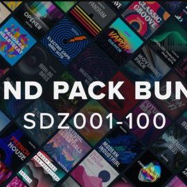 Roland Cloud Sound Pack Bundle SDZ001-100 [Synth Presets] (Premium)