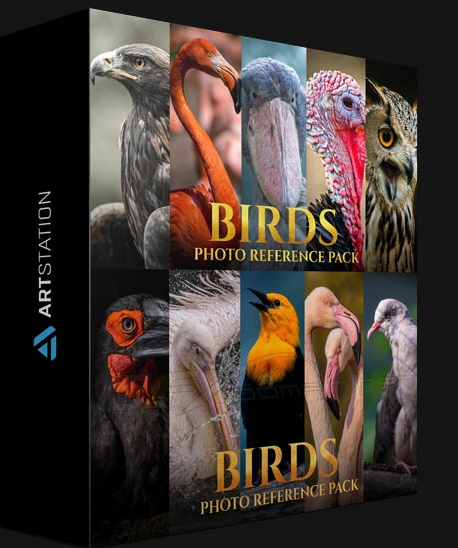ARTSTATION – BIRDS REFERENCE PACK FOR ARTISTS 828 JPEGS BY SATINE ZILLAH 