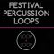 Loop 4 Loop Festival Percussion Loops [WAV] (Premium)
