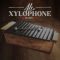 Soundiron Alto Xylophone [WAV] (Premium)