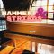 Strategic Audio Hammers & Strings: Piano Melody Loops [WAV] (Premium)