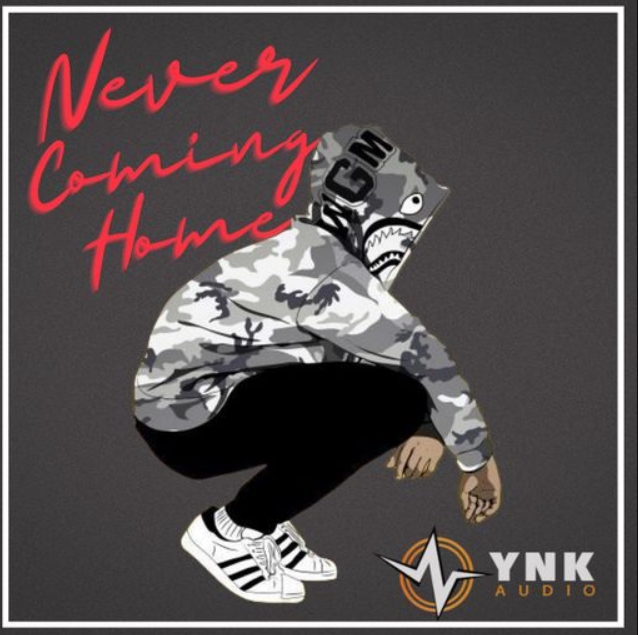 YnK Audio Never Coming Home [WAV]