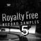 Big Citi Loops Royalty-Free Record Samples Part 5 [WAV] (Premium)