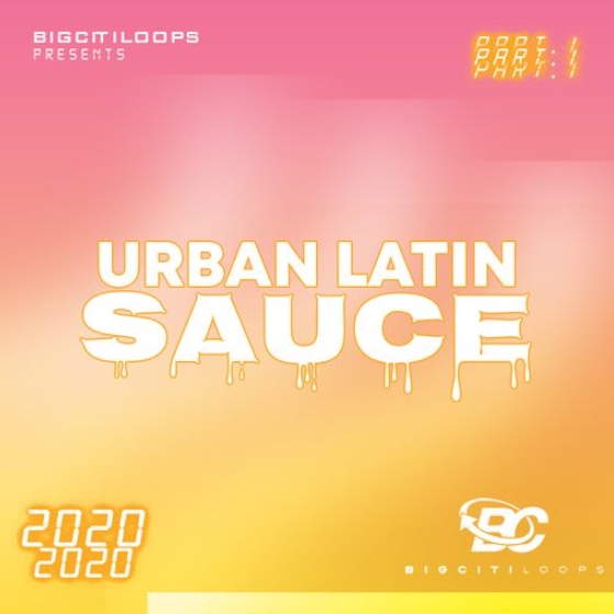 Big Citi Loops Urban Latin Sauce [WAV]