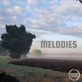 Samples Choice Melodies [WAV] (Premium)