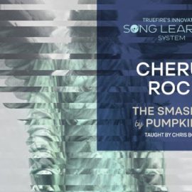 Truefire Chris Buono’s Song Lesson: Cherub Rock [TUTORiAL] (Premium)