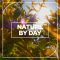 Blastwave FX Nature by Day [WAV] (Premium)