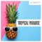 Concept Samples Tropical Paradise [WAV] (Premium)