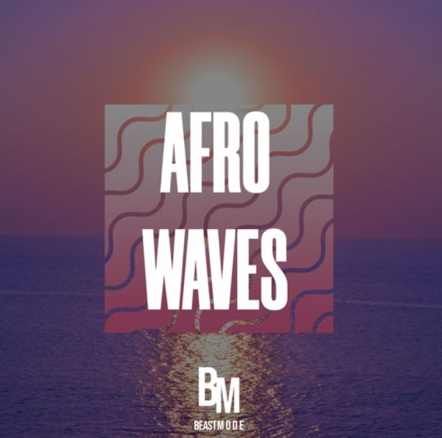 HOOKSHOW Afro Waves [WAV]