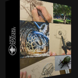 NEW MASTERS ACADEMY – DYNAMIC SKETCHING WITH CHARLES HU (LIVE CLASS) – JANUARY 2022 (Premium)