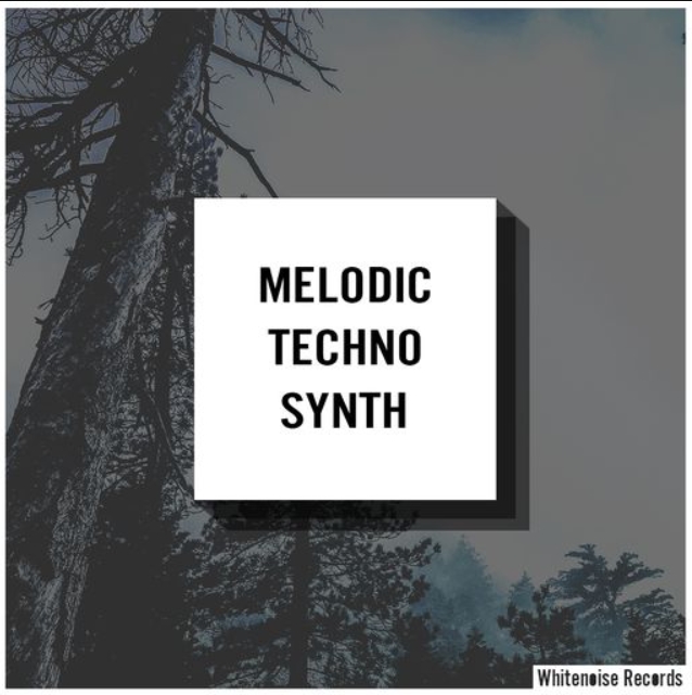 Whitenoise Records Melodic Techno Synth [WAV]