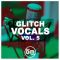 Dirty Music Glitch Vocals Vol. 5 [WAV] (Premium)