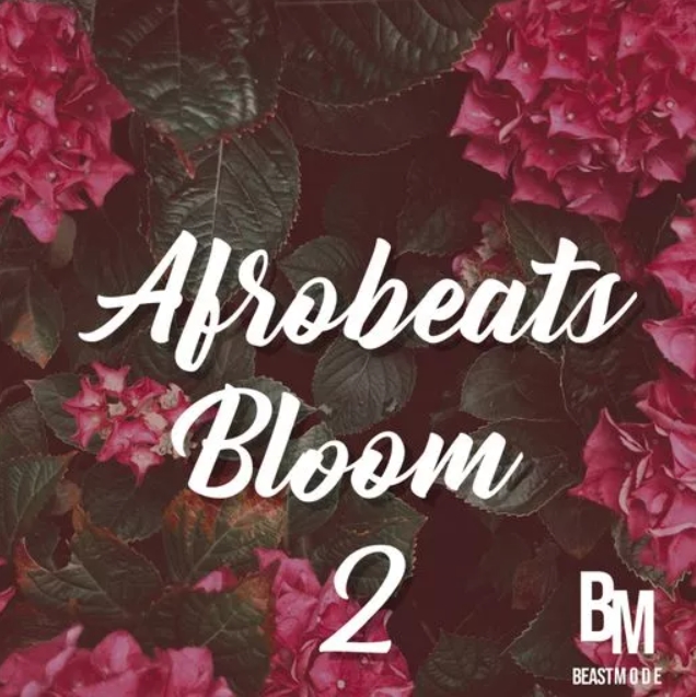 HOOKSHOW Afrobeats Bloom 2 [WAV]