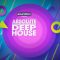 Soundbox Absolute Deep House [WAV, REX] (Premium)