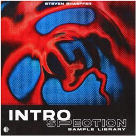 Steven Shaeffer INTROSPECTION (Sample Library) [WAV] (Premium)