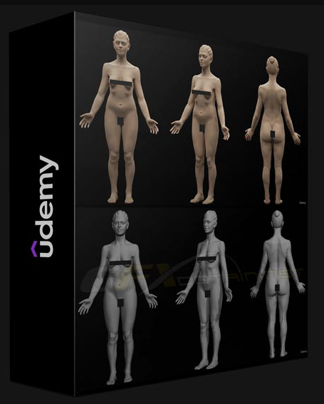 UDEMY – FEMALE ANATOMY SCULPTING IN BLENDER COURSE