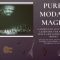 Udemy Pure Modal Magic: A Complete Guitar Scales And Modes Kit [TUTORiAL] (Premium)