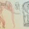 THE GNOMON WORKSHOP – ELEPHANT ANATOMY VOL. 2: PREHISTORIC STUDIES & IMAGINARY CONCEPTS (Premium)