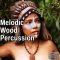 AudioFriend Melodic Wood Percussion [WAV] (Premium)