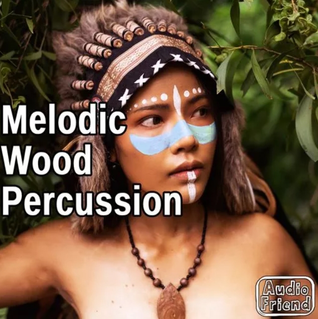AudioFriend Melodic Wood Percussion [WAV]
