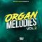 Big Citi Loops Organ Melodies Vol 2 [WAV] (Premium)