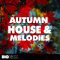 Big EDM Autumn House and Melodies [WAV, MiDi, Synth Presets] (Premium)
