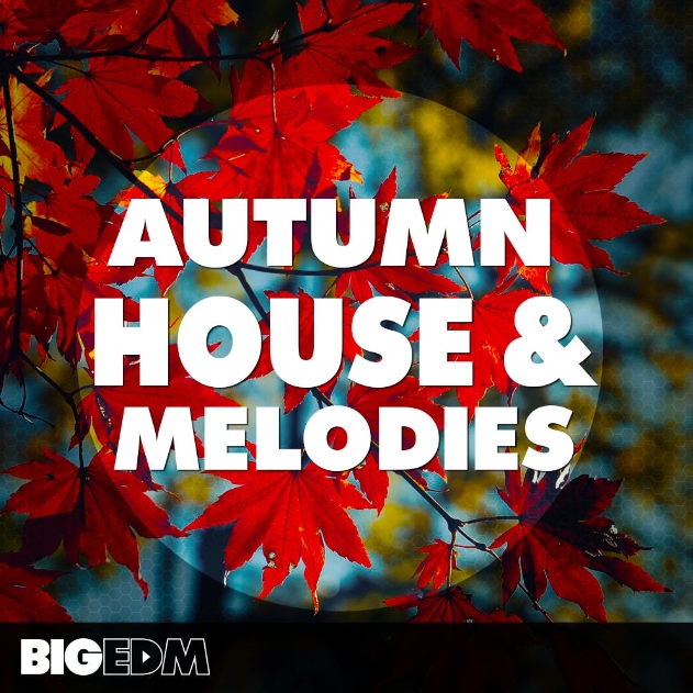 Big EDM Autumn House and Melodies [WAV, MiDi, Synth Presets]