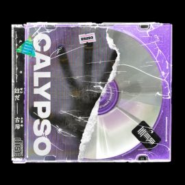 Engineering Samples Calypso [WAV] (Premium)
