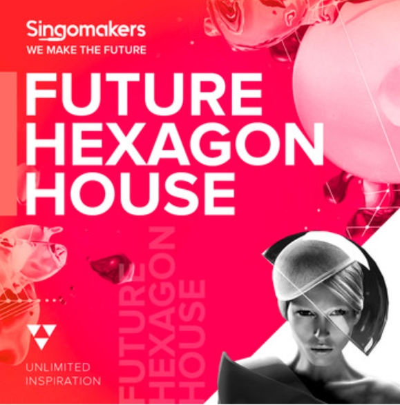 Singomakers Future Hexagon House [WAV, REX]