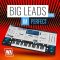 WA Production Big Leads For ImPerfect [Synth Presets] (Premium)