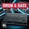 WA Production Drum & Bass For Babylon [Synth Presets] (Premium)