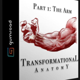 GUMROAD – TRANSFORMATIONAL ANATOMY PART 1: THE ARM (Premium)