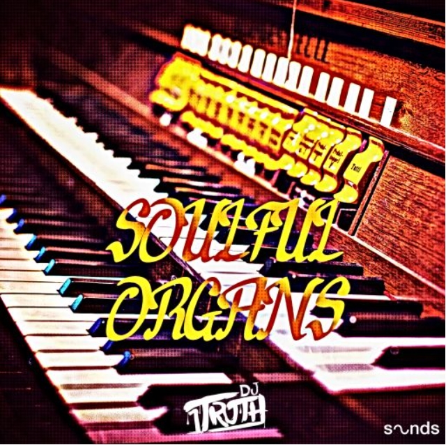 DJ 1Truth Soulful Organs [WAV]