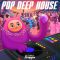 Dropgun Samples Pop Deep House [WAV, Synth Presets] (Premium)