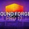 MAGIX SOUND FORGE Pro 17 v17.0.0.81 [WiN] (Premium)