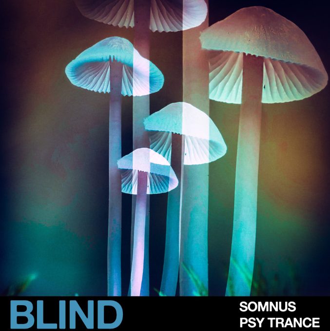 Blind Audio Somnus Psy Trance [WAV]