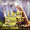 Future Samples Lo-Fi Forest [WAV, MiDi] (Premium)